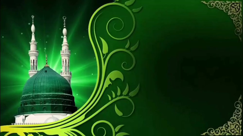 Зеленый фон с орнаментом