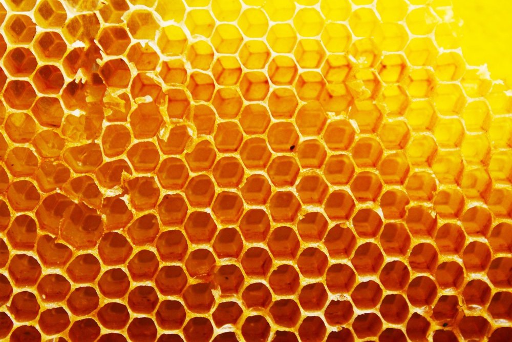 Медовые соты Soffio