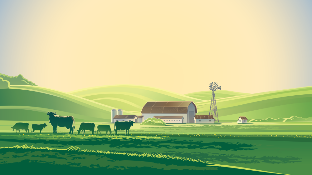 Баннер сельское хозяйство