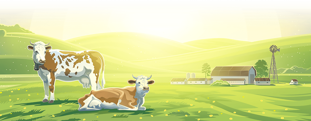 Поле с коровами вектор