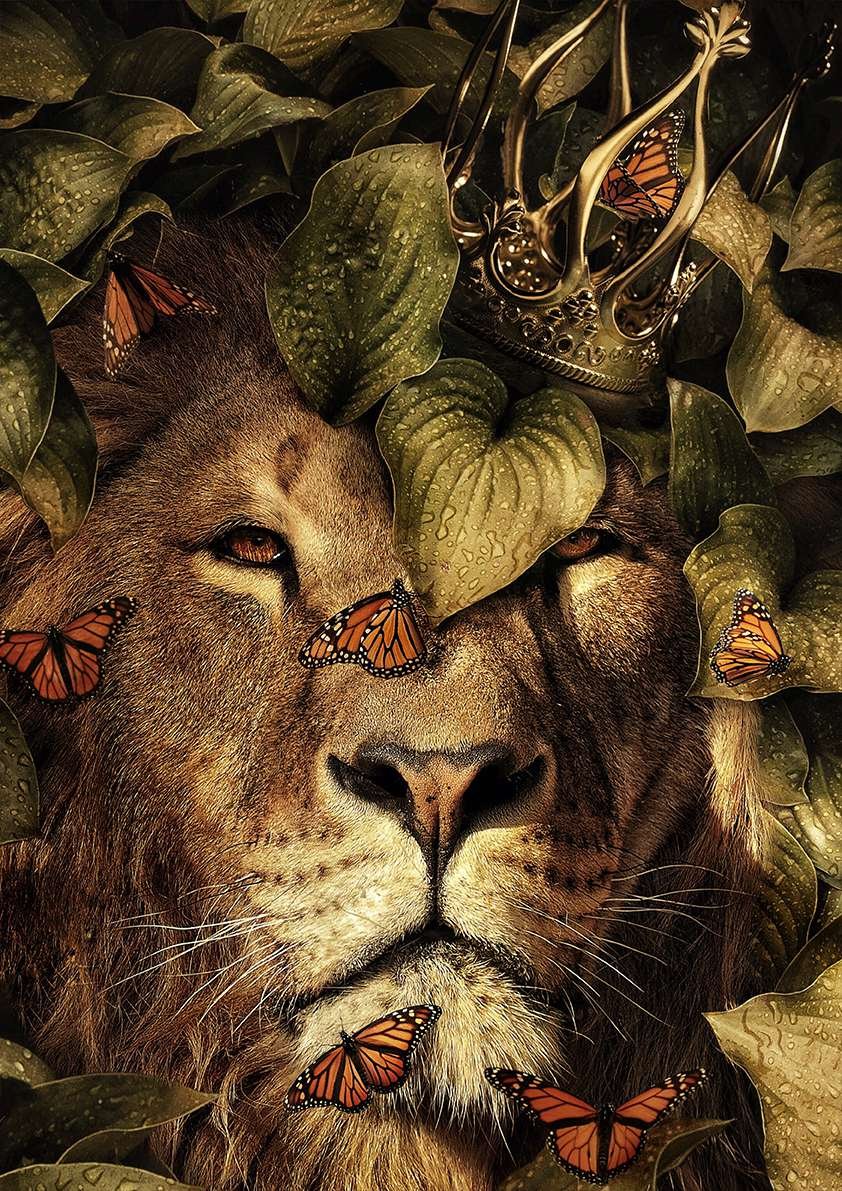 Лев в джунглях картина