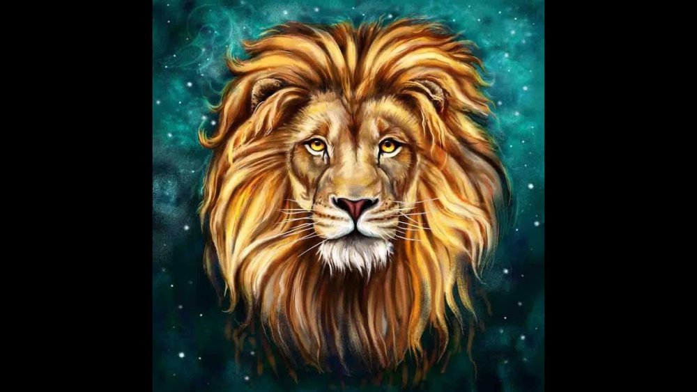 Голова Льва на белом фоне