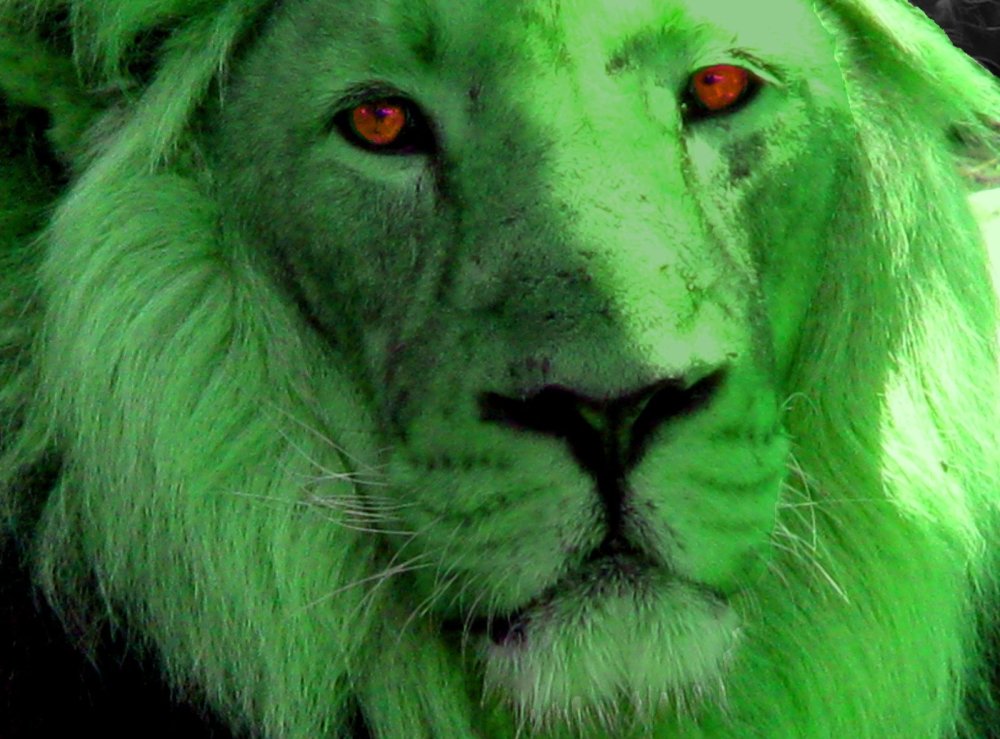Зеленый Лев