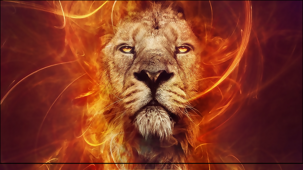 Обои на рабочий стол Лев