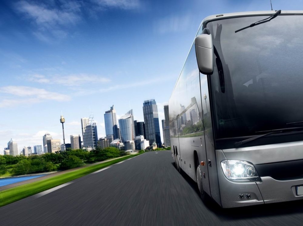 Обои школьный автобус