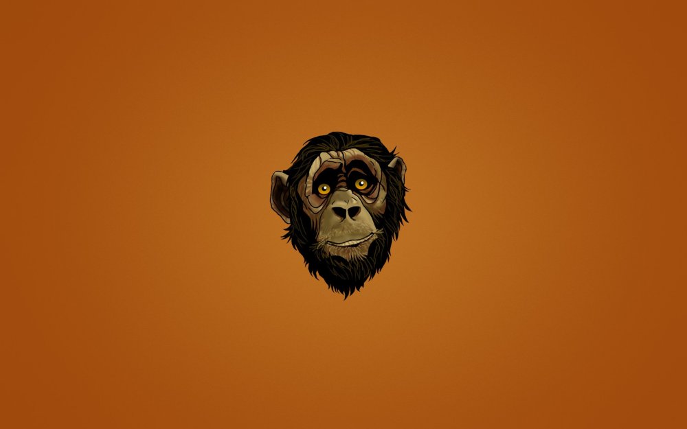 Обои с обезьянами