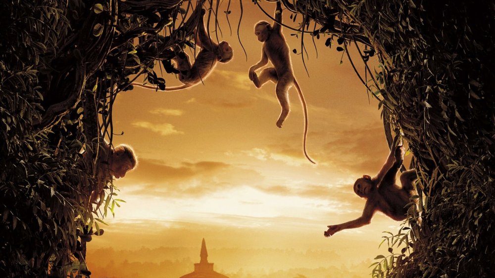 Город обезьян в джунглях