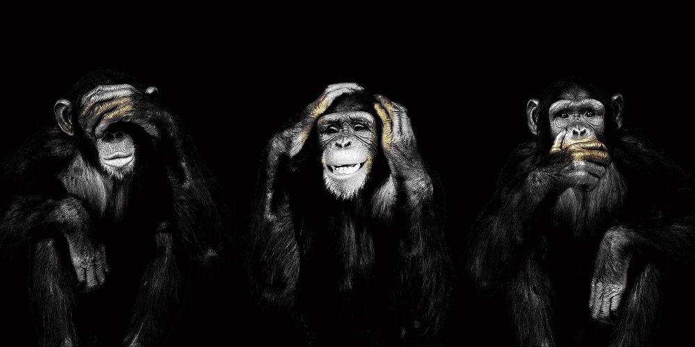 Картина три обезьяны