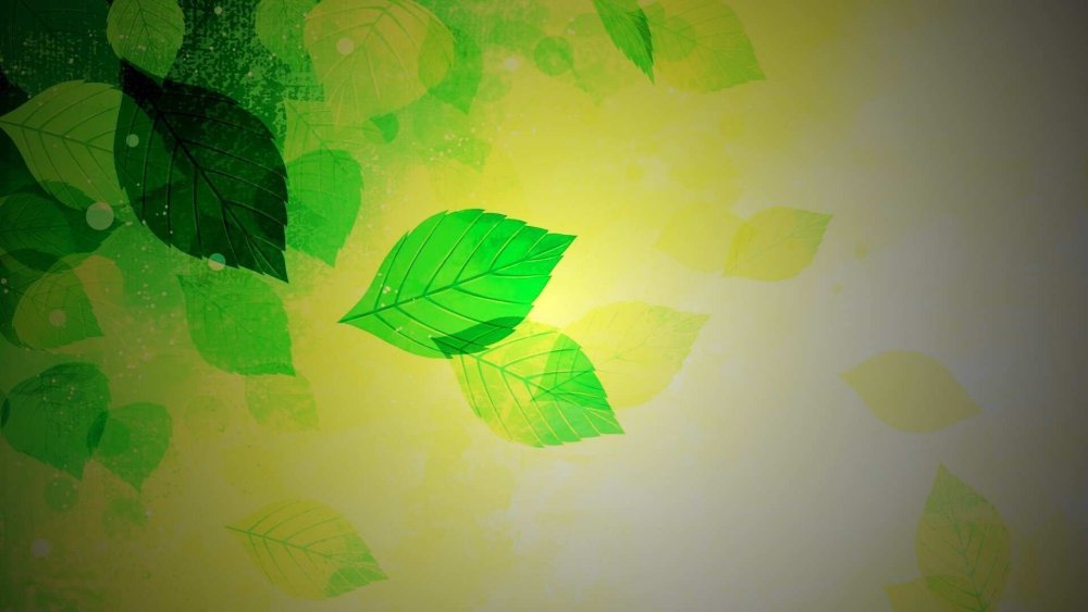 Зеленые листья фон