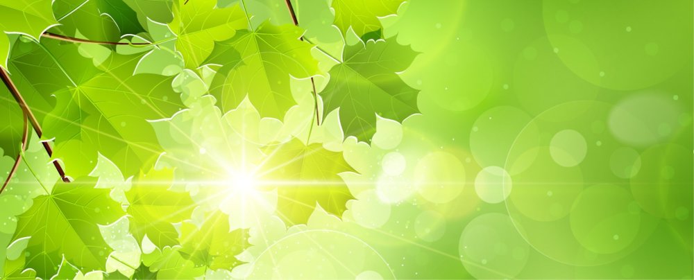 Сбербанк фон для презентации