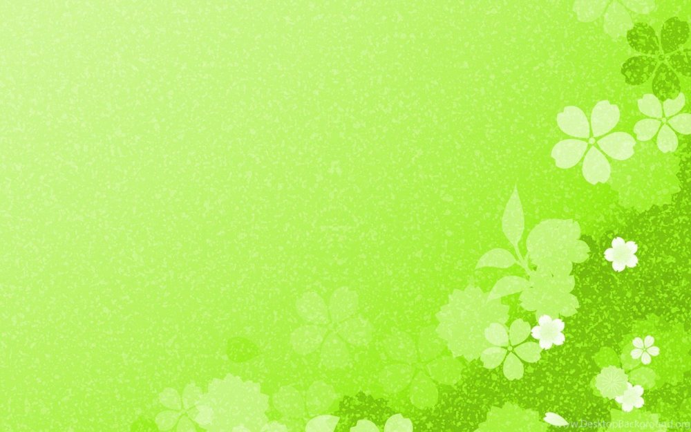 Светло зеленый фон