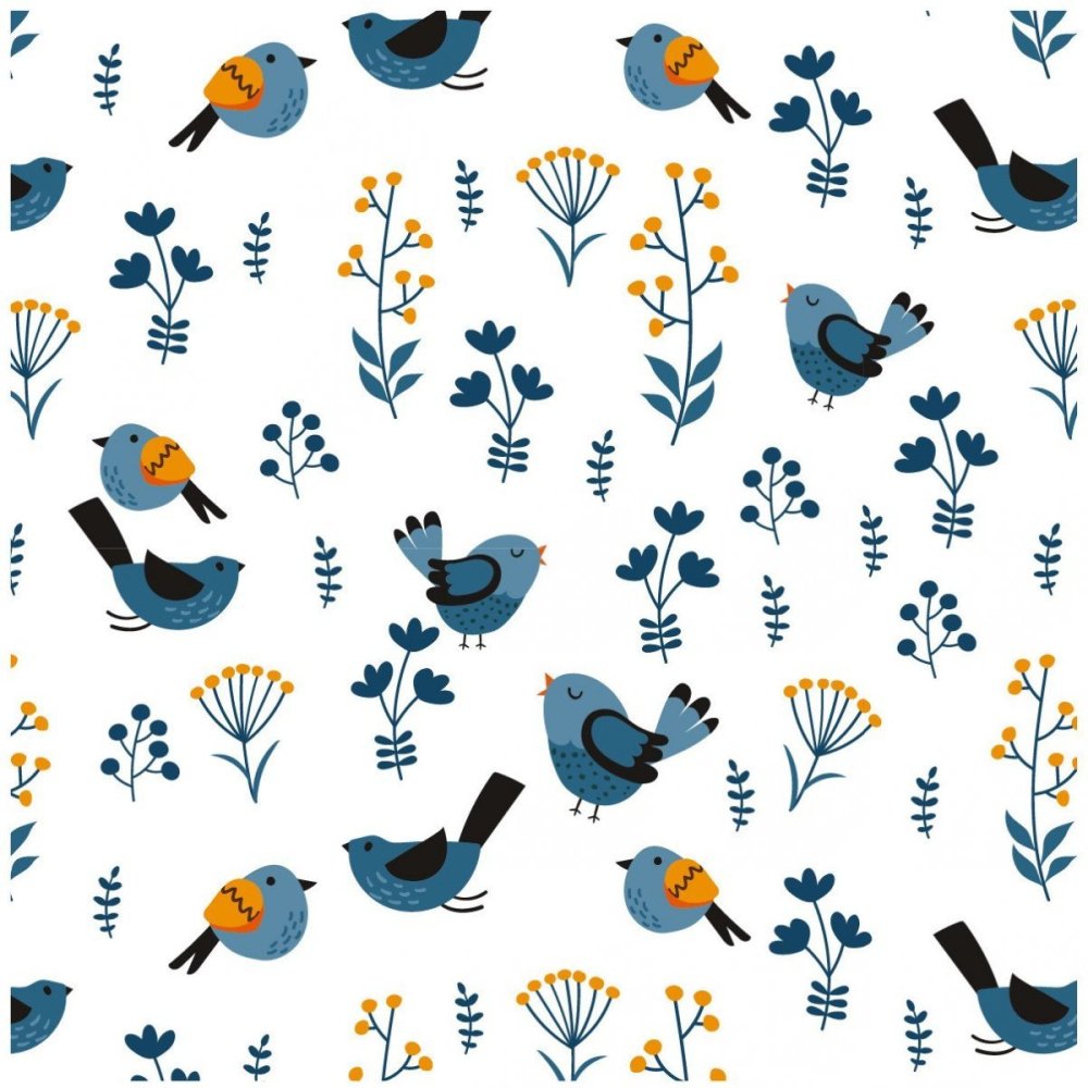 Лазоревка с хохолком