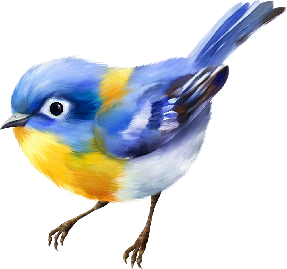 Ультрамариновый овсянковый Кардинал