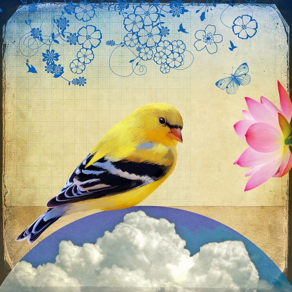 Желтые обои с птичками