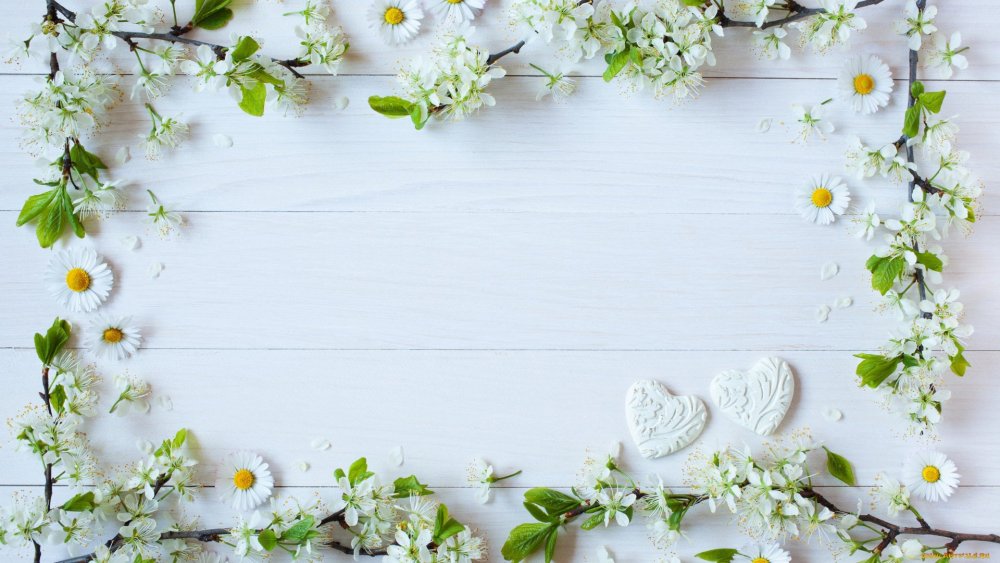 Фон свадебный нежный