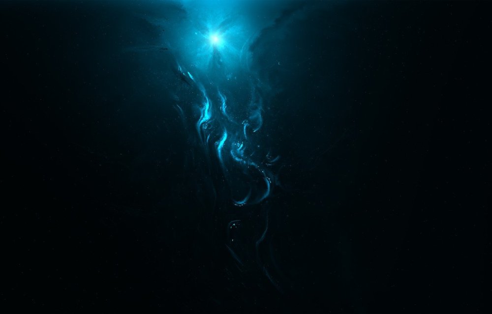 Цветы на черном фоне рисунок