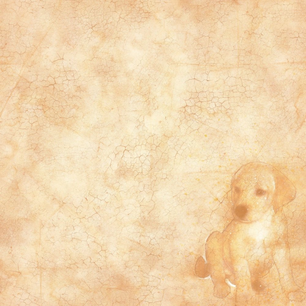 Фон для презентации собаки