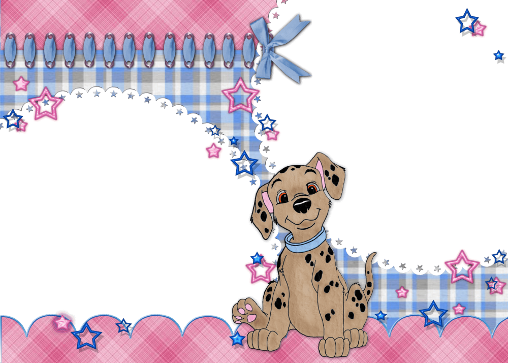 Милые собачки самоеды