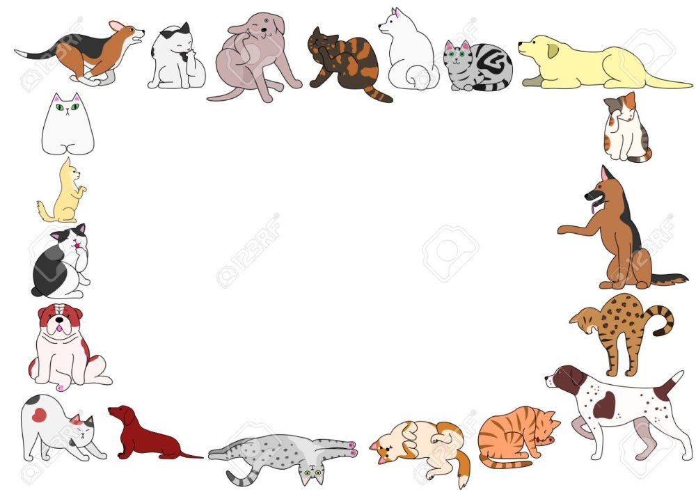 Бладхаунд собака