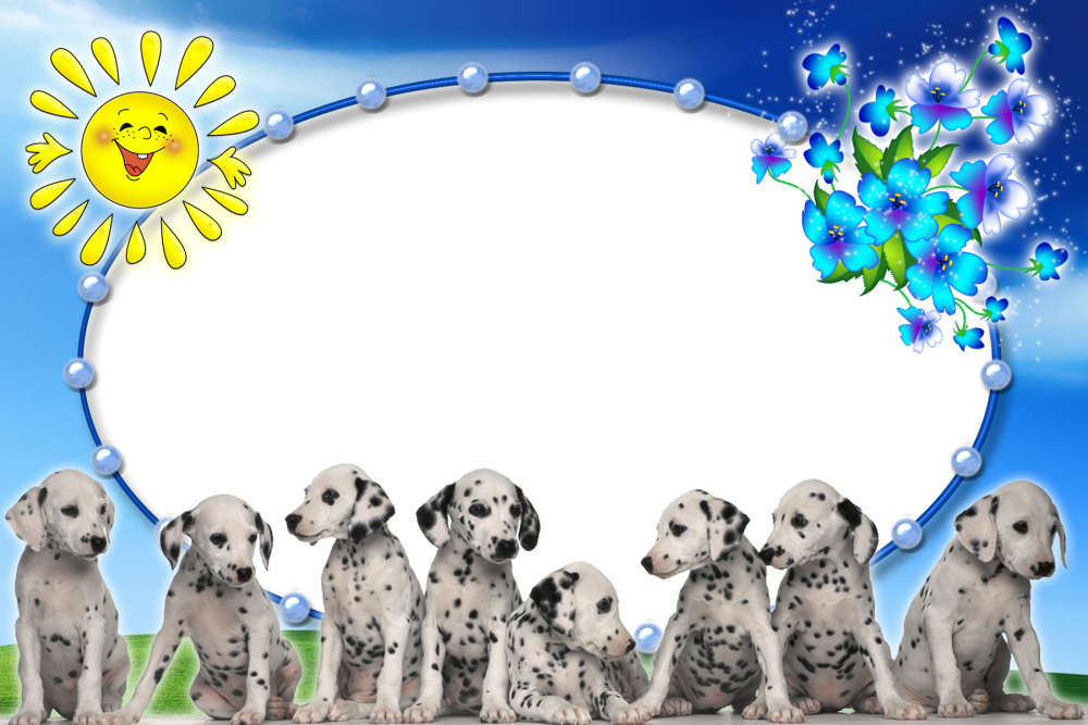 Красивый фон с собачками