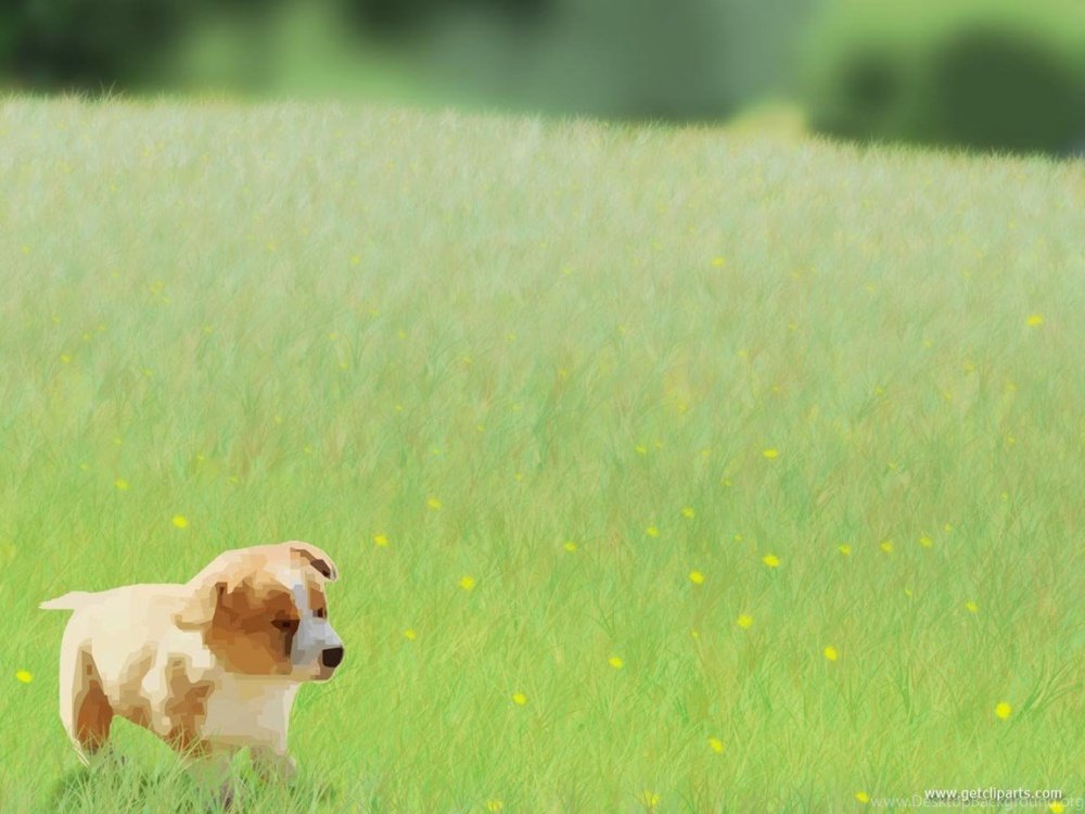 Рамки с кошками и собаками