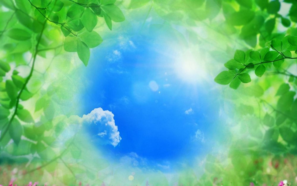 Экологический фон