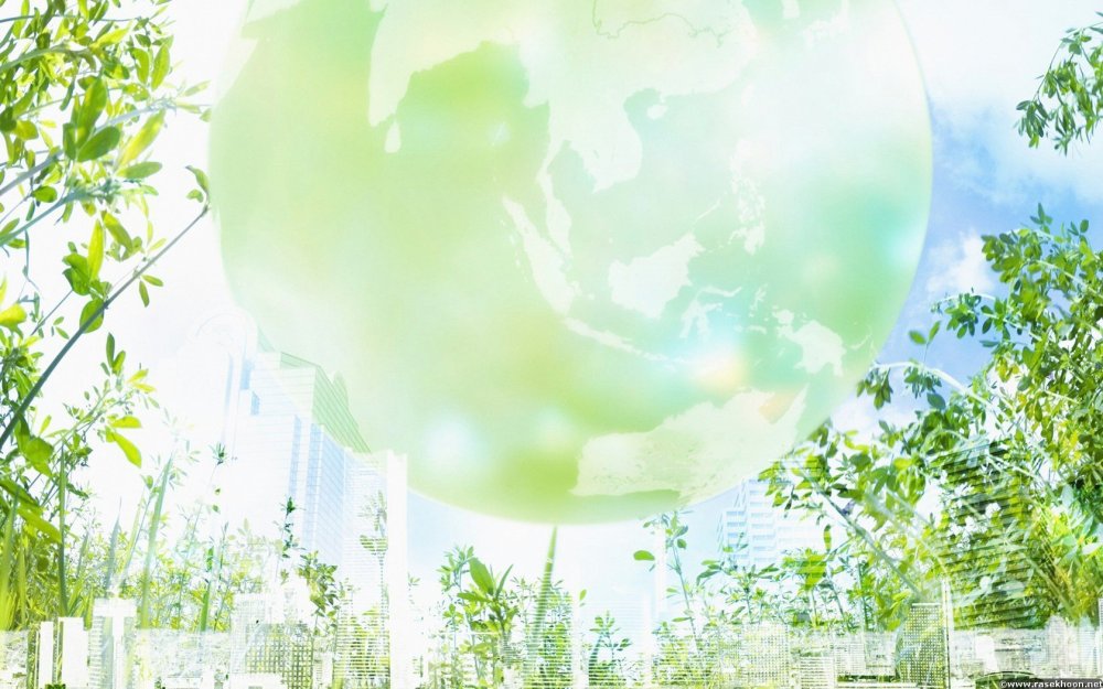 Экологический фон для презентации