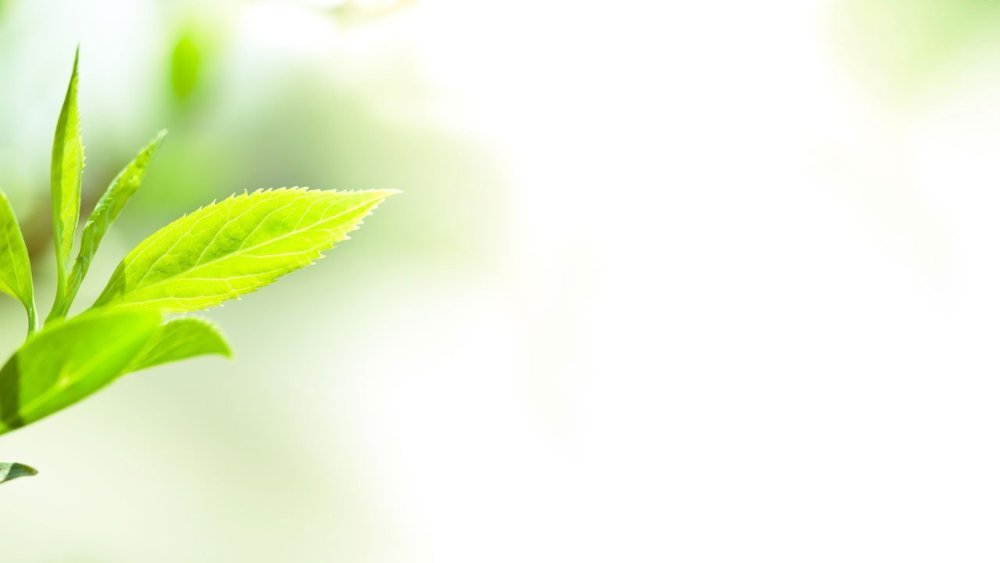 Экологический фон