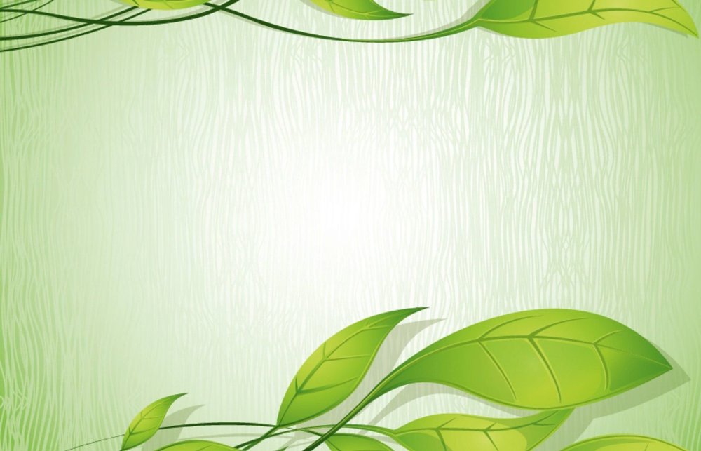 Экологичный фон для презентации