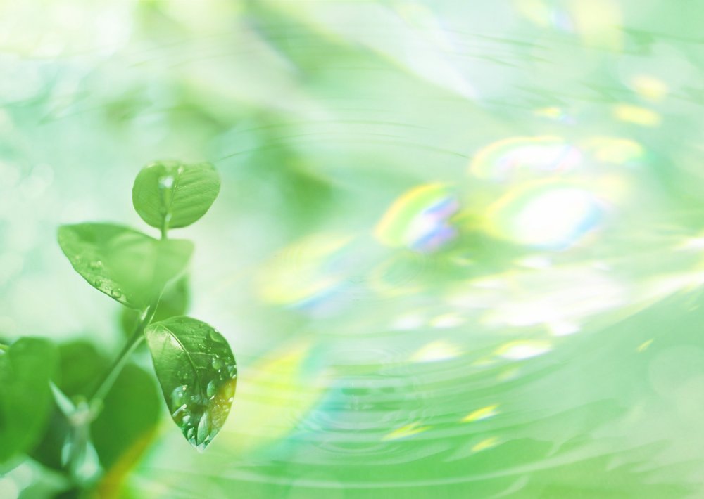 Фон для презентации по экологии