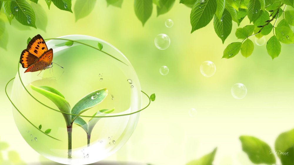 Фон для презентации экология