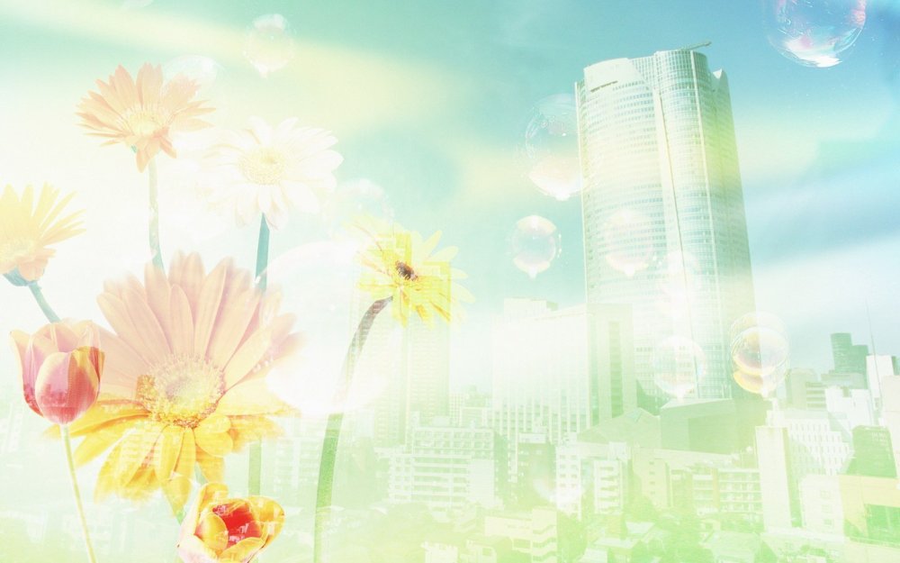 Экология фон