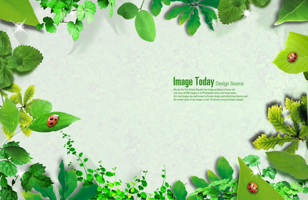 Экология фон