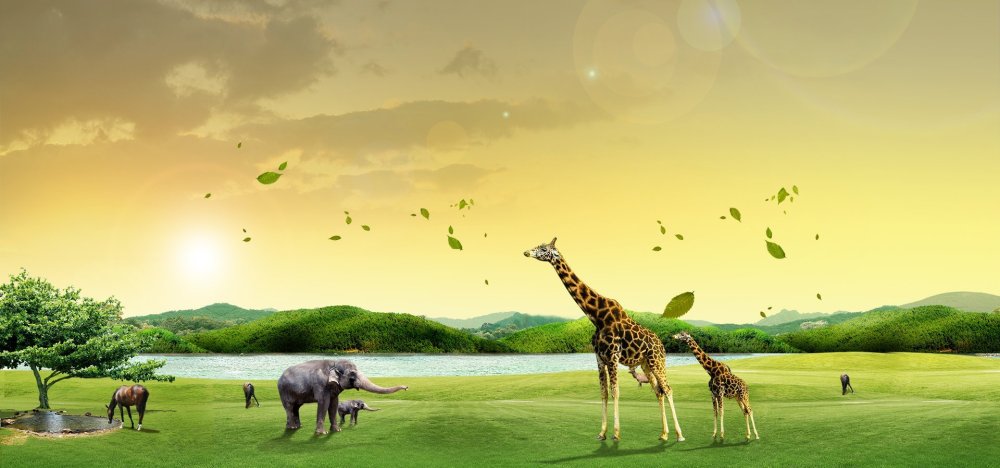 Фон животные