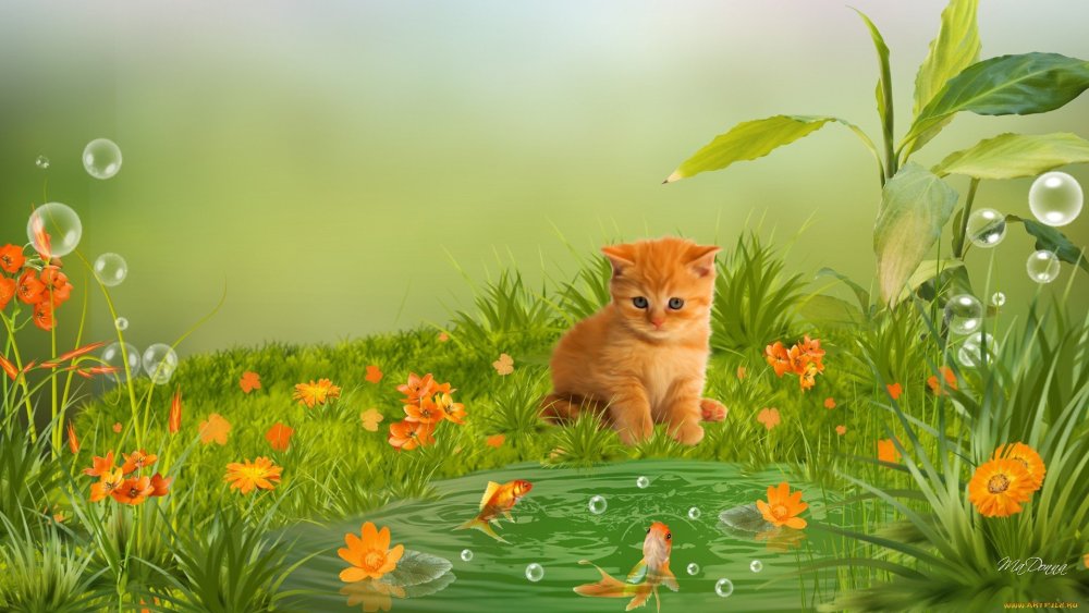 Фон с котятами