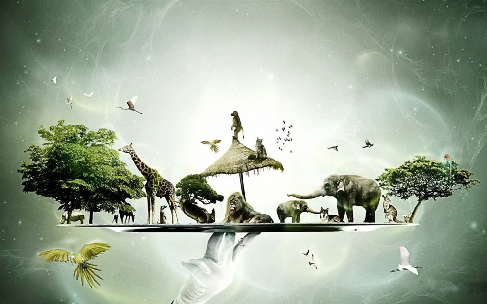 Фон для презентации животные