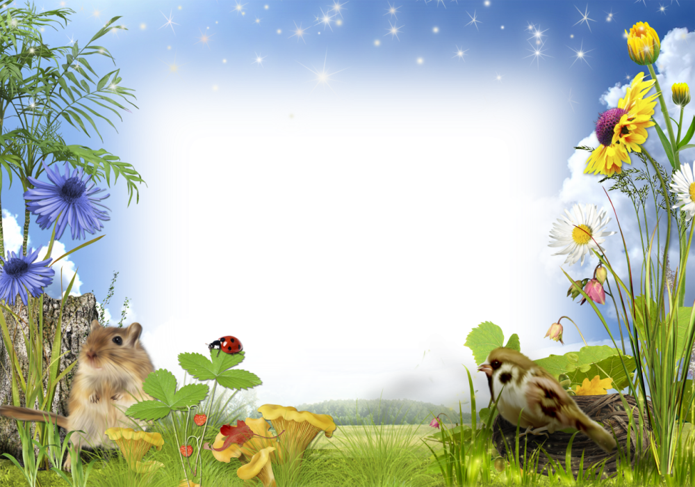 Фон для презентации птицы