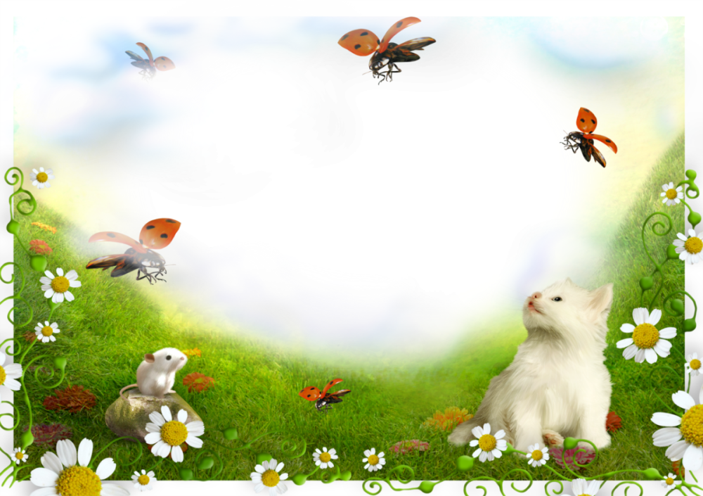 Рамки с животными для оформления текста