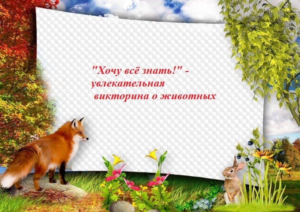 Фон с тигром для фотошопа