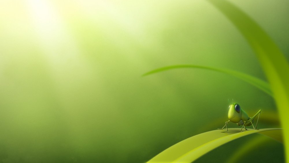 Рамка джунгли для детей