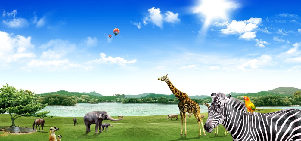 Вереница слонов