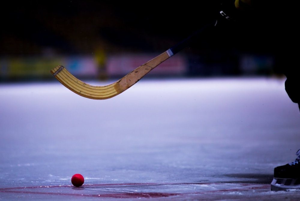 Хоккей с мячом