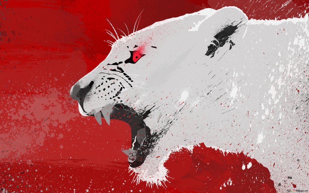 Агрессивные обои