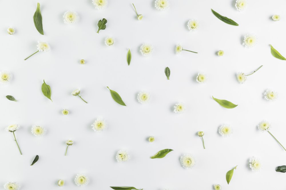 Зеленые мелкие листочки на белом фоне