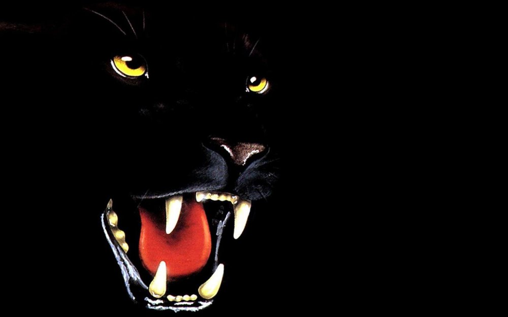 Оскал на черном фоне