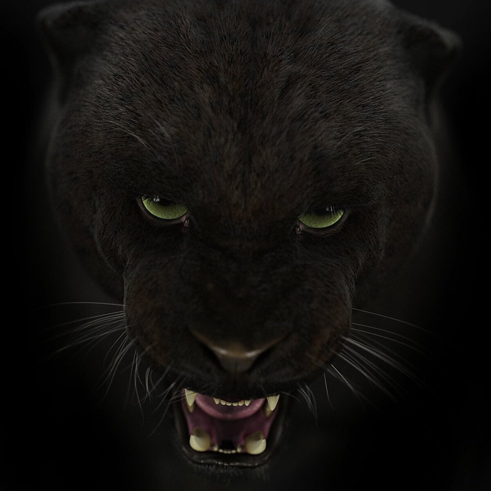 Глаза пантеры