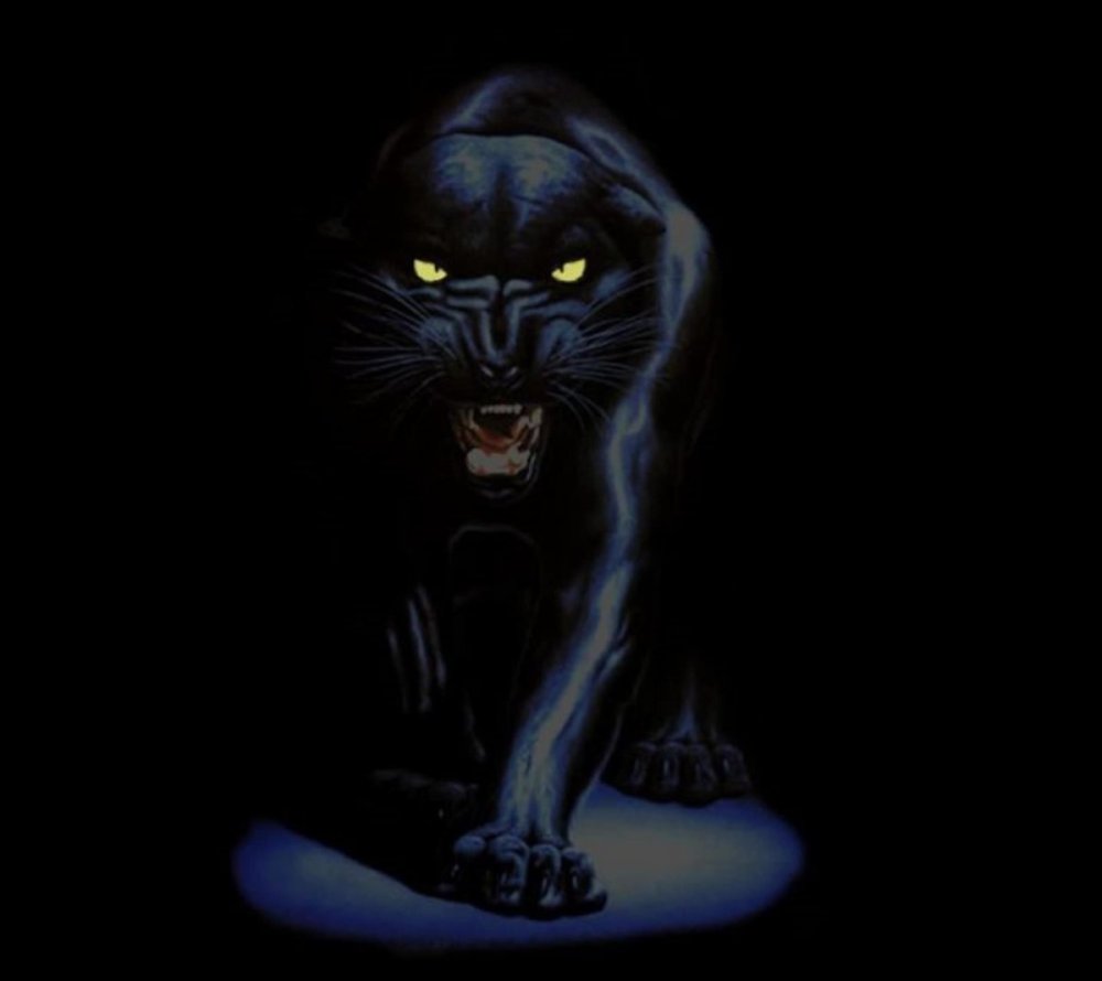 Пантера на черном фоне