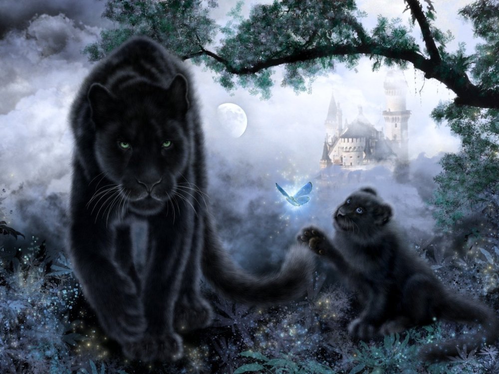 Дикая кошка фэнтези