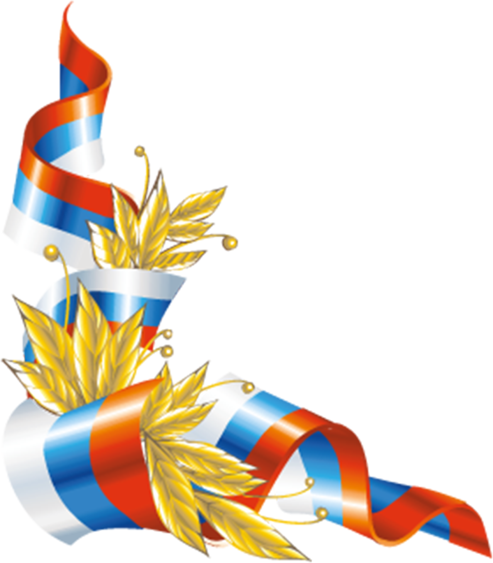 Фон для презентации с васильками