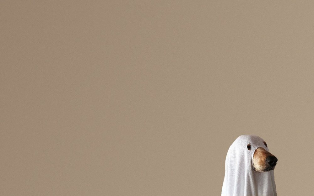 Собака Минимализм